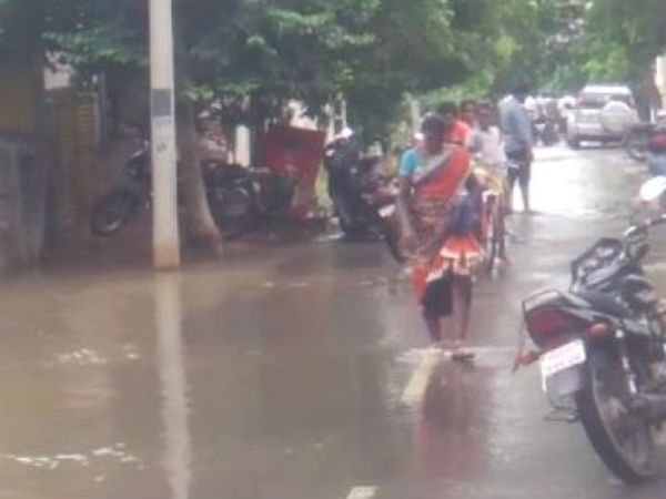 டெங்கு காய்ச்சல்