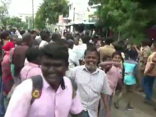 ஆடுகள் பலி: