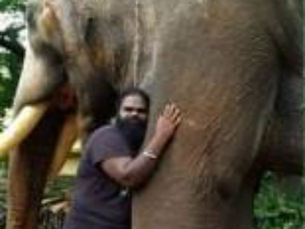 man-sings-elephant-to-sleep3-1540522146.