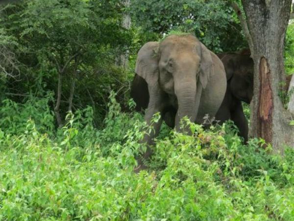 அலட்சியமே காரணம்