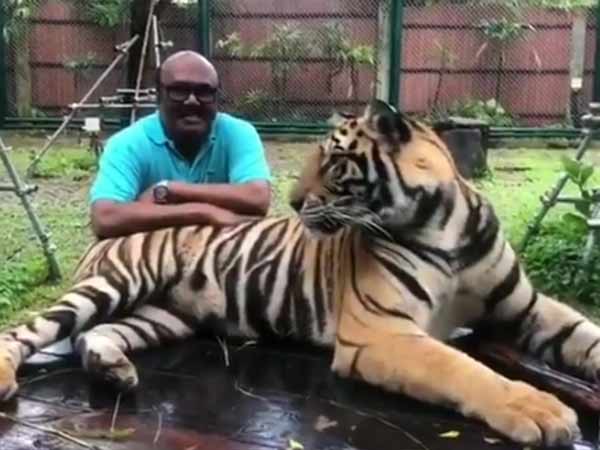 Minister Jayakumar is Zoological park in Thailand Minister Jayakumar is Zoological park in Thailand