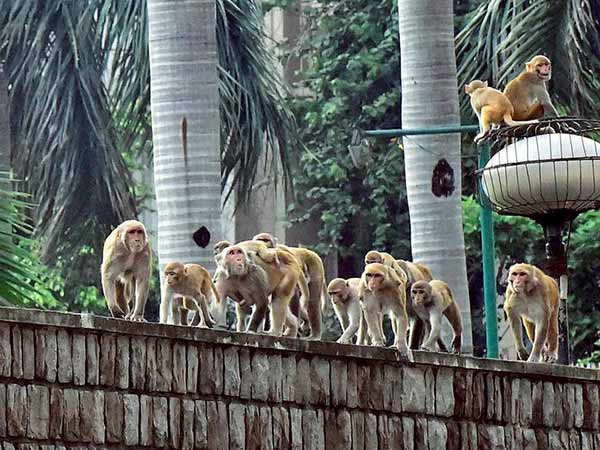 மேலதிகாரிகளுக்கு கடிதம்