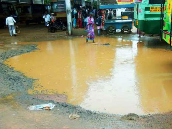 Paddy fields are under rain water in Trichy Paddy fields are under rain water in Trichy