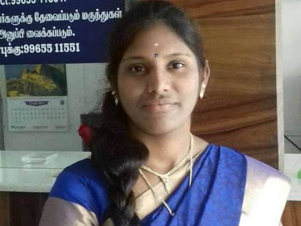 தைலமரம்