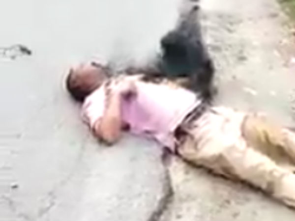 A video goes viral in social media of unidentified animal A video goes viral in social media of unidentified animal