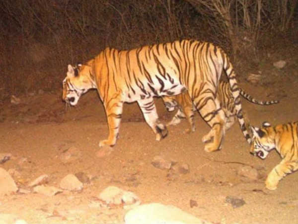 குறிபார்த்து சுடுபவர்கள்