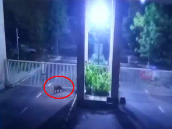 உள்ளே வந்தனர்