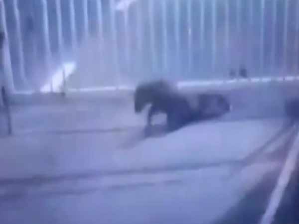 நிறைய ஆவணங்கள்