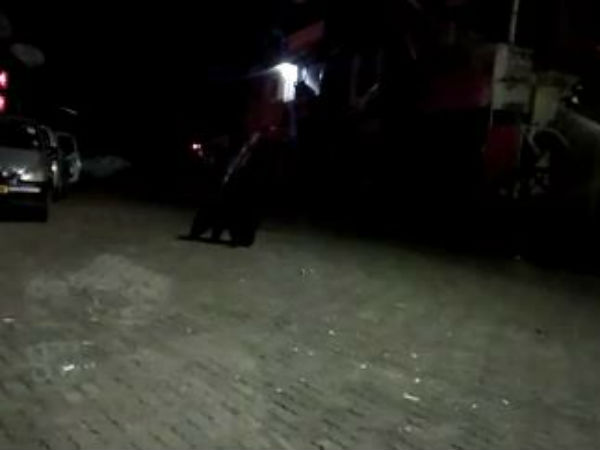 எண்ணெய் குடித்துவிடும்
