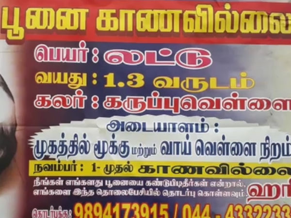 அளவில்லாத பாசம்