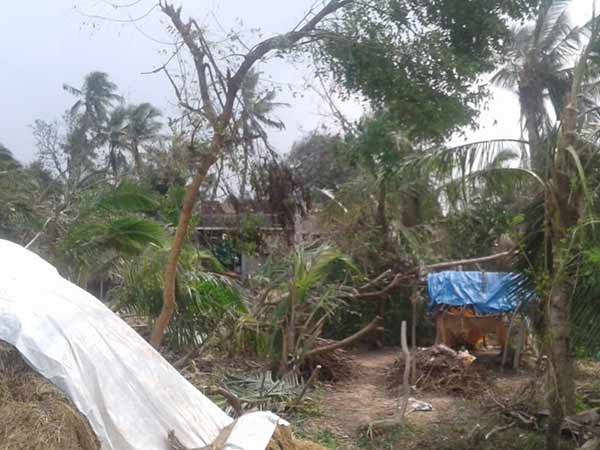 எதிரொலிக்கும்