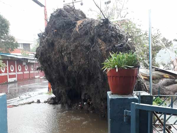 வீடுகளின் கூரைகள்