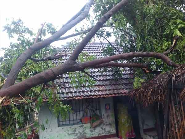 Gaja cyclone rehabilitation: TamilNadu government seeking financial assistance from the people Gaja cyclone rehabilitation: TamilNadu government seeking financial assistance from the people
