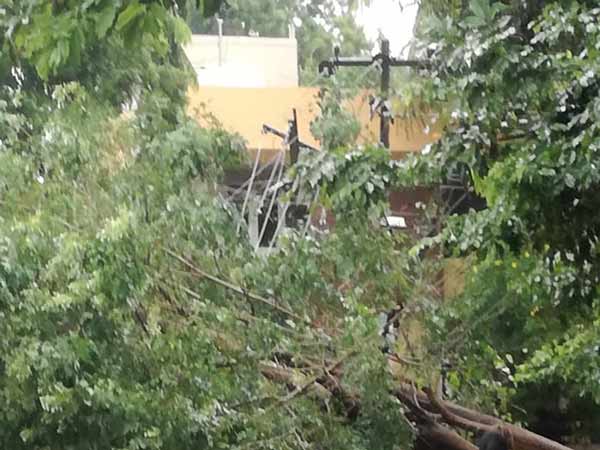 à®à®¤à®¿à®°à¯à®ªà®¾à®°à¯à®à¯à®à®µà®¿à®²à¯à®²à¯