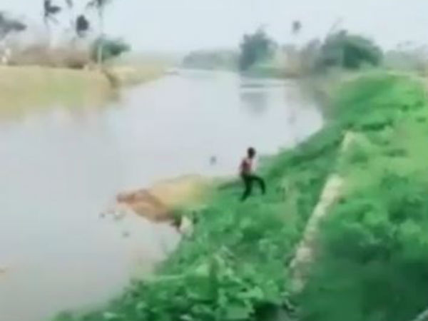 சாப்பாடு வரவில்லையா?
