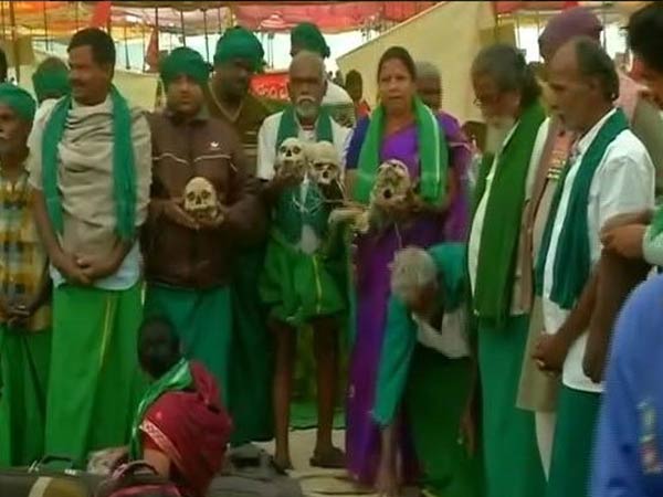 மண்டை ஓடுகள்