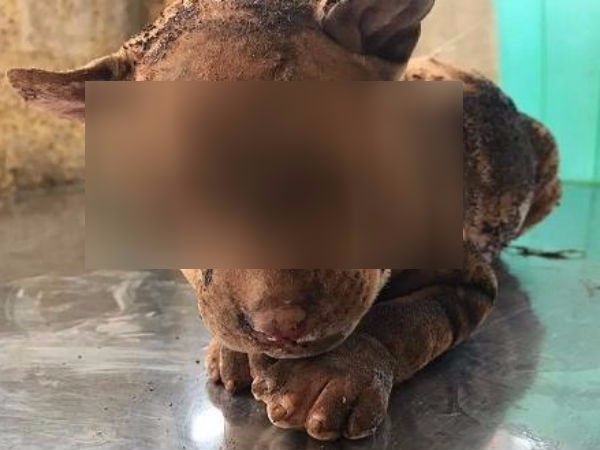 கண்ணீர் விட்டு அழுதது