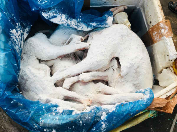 எப்படி இருந்தது