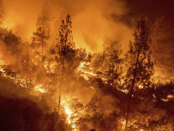 25 Dead In Worst Wildfire In Californias History 25 Dead In Worst Wildfire In Californias History