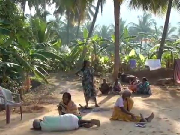 தனிப்படை அமைப்பு