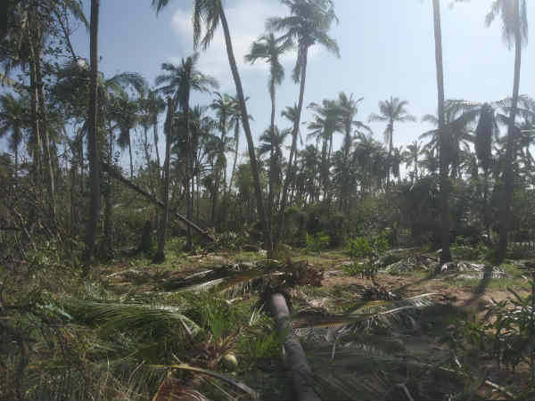 இறுக்க கட்டிக் கொண்டார்