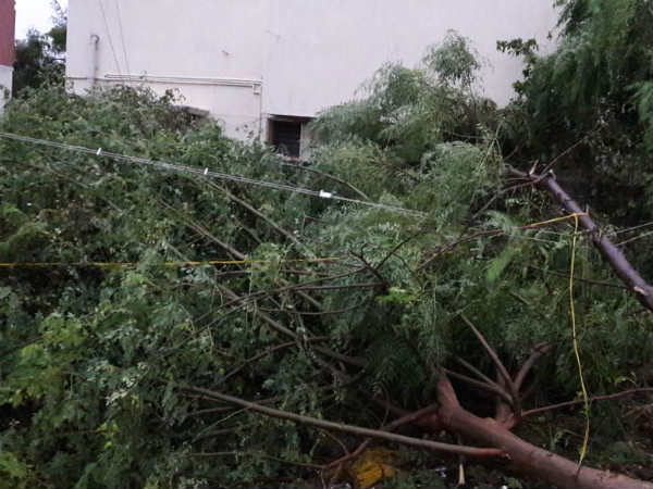 TN government extends EB bill payment for the cyclone affected districts TN government extends EB bill payment for the cyclone affected districts