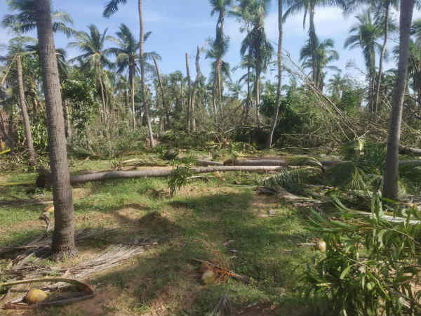 அறிக்கை எப்போது