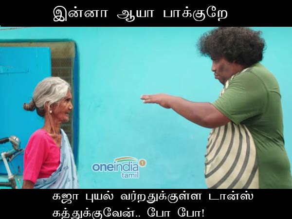 Memes on Gaja Memes on Gaja