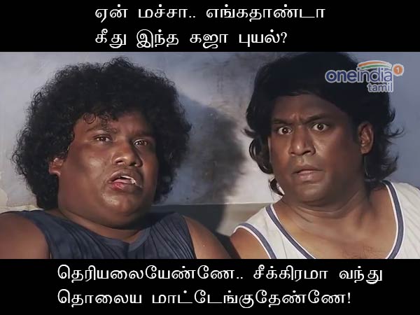 Memes on Gaja Memes on Gaja