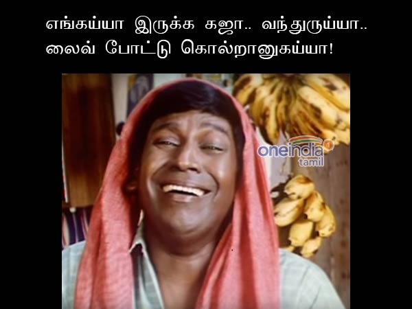 Memes on Gaja Memes on Gaja