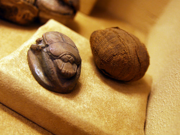 பூனைகள் இருந்தது