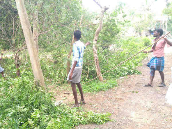 அழுகி கிடக்கிறது