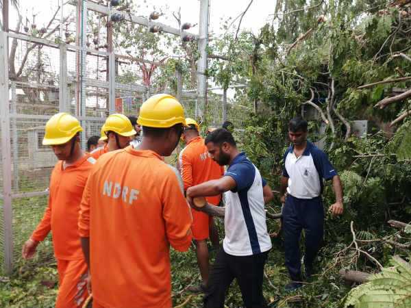 Kerala Eb employees sent to tamilnadu for relief works Kerala Eb employees sent to tamilnadu for relief works