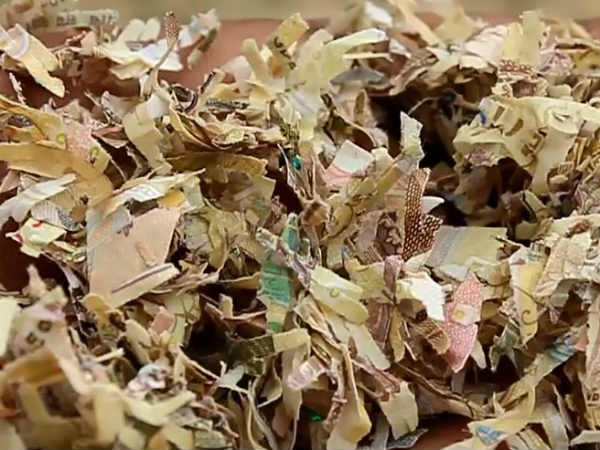 35 bags torn old 1000 rupees 500 rupees