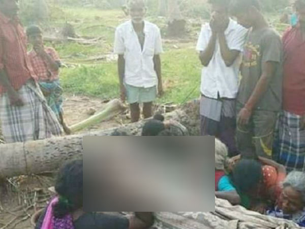 à®¨à¯à®à¯à®à®¿à®²à¯ à®à®¾à®¯à¯à®¨à¯à®¤ à®¤à¯à®©à¯à®©à¯