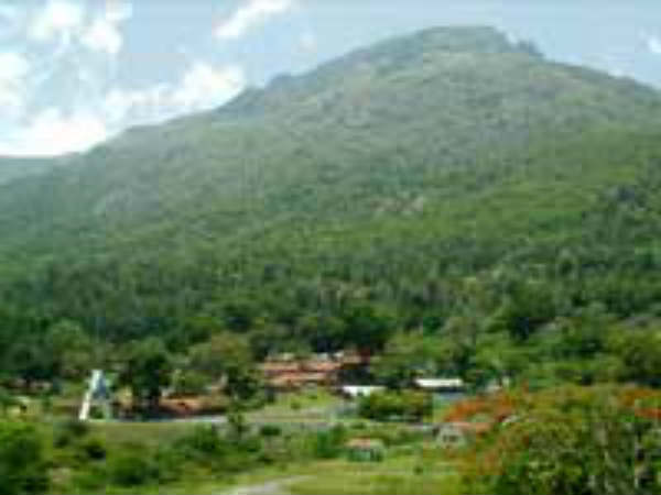 மேல்முறையீடு