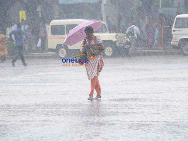 Holiday announced for 3 districts due to heavy rain in Tamilnadu Holiday announced for 3 districts due to heavy rain in Tamilnadu