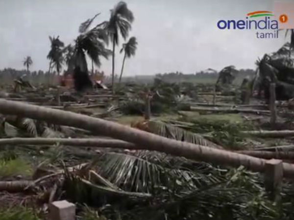 Central committee will be come on Friday to survey Gaja affected areas Central committee will be come on Friday to survey Gaja affected areas