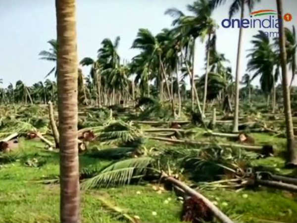கணக்கிடும் பணிகள்