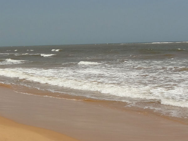 தொடர்புள்ள நிறுவனங்கள்