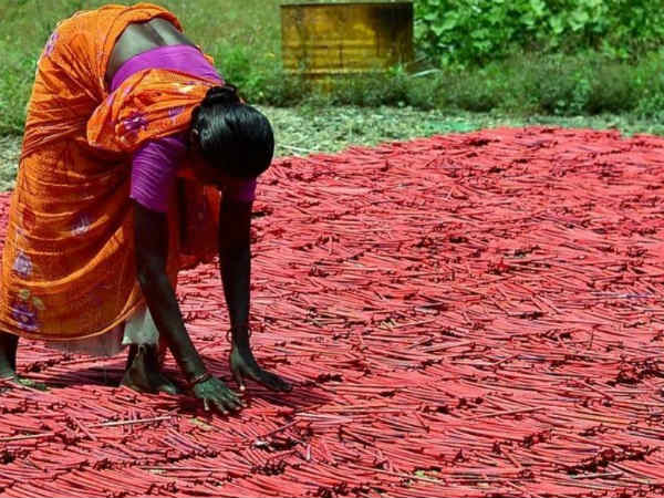 All the cracker units in Sivakasi shut down All the cracker units in Sivakasi shut down