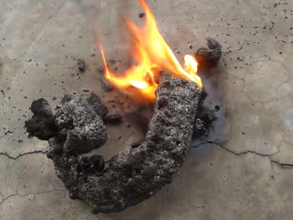 பாம்பு மாத்திரைகள்