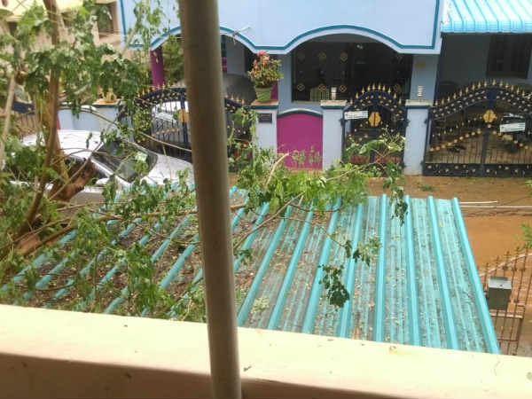 சிக்னல் போர்டுகள்