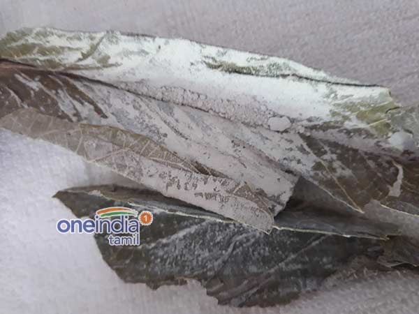 தீராத நோய்களை தீர்க்கும்