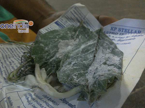கூலியாக மாறிய விபூதி