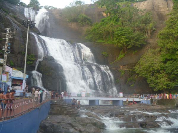 A Python swept away in Courtallam main falls A Python swept away in Courtallam main falls