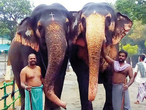 நெற்றியில் சிலுவை