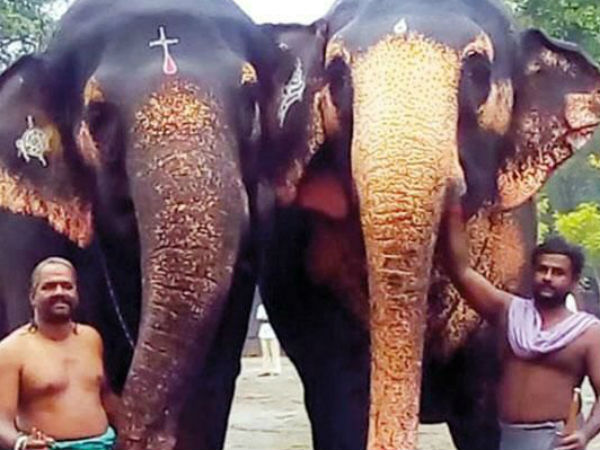 குளிப்பாட்டினர்