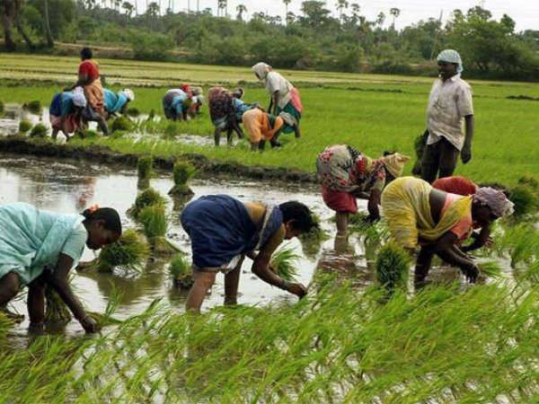 போராடிய விவசாயிகள்