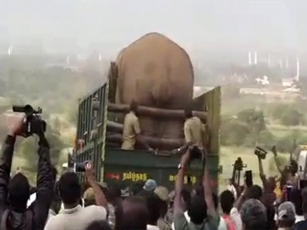 பூமி தாங்குமா?